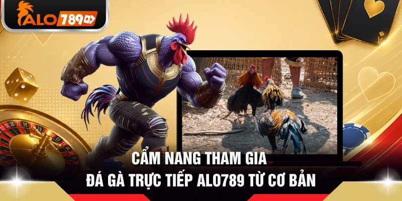 Cẩm nang tham gia đá gà trực tiếp ALO789 từ cơ bản 