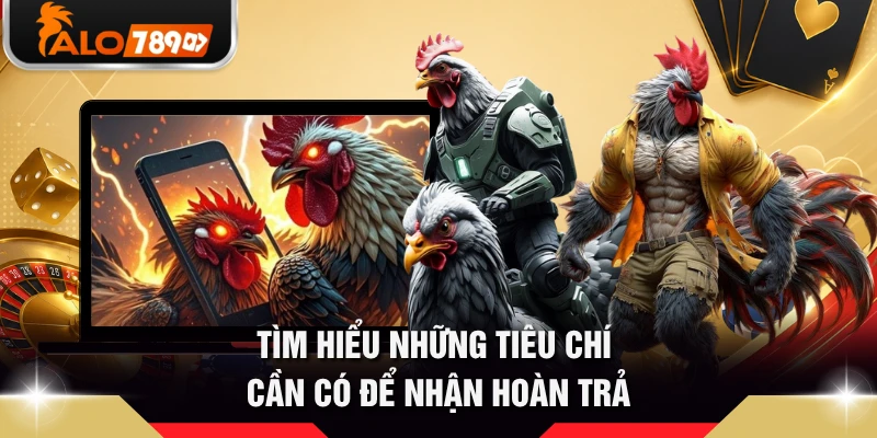 Tìm hiểu những tiêu chí cần có để nhận hoàn trả