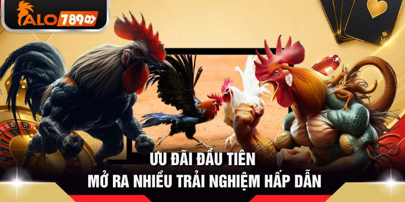 Ưu đãi đầu tiên mở ra nhiều trải nghiệm hấp dẫn